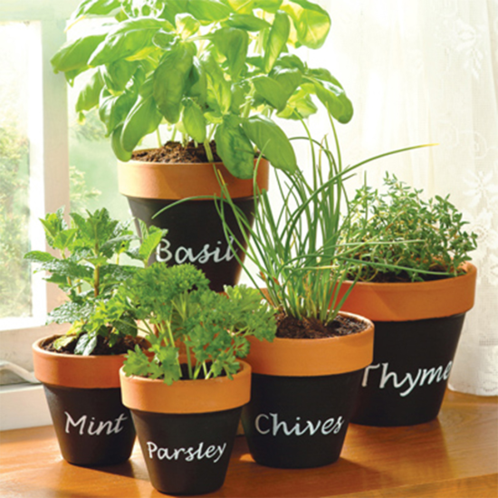 Plastikote Chalkboard Black Paint 400ml Twist and Spray Can | Renovate, Repair or Create a new s