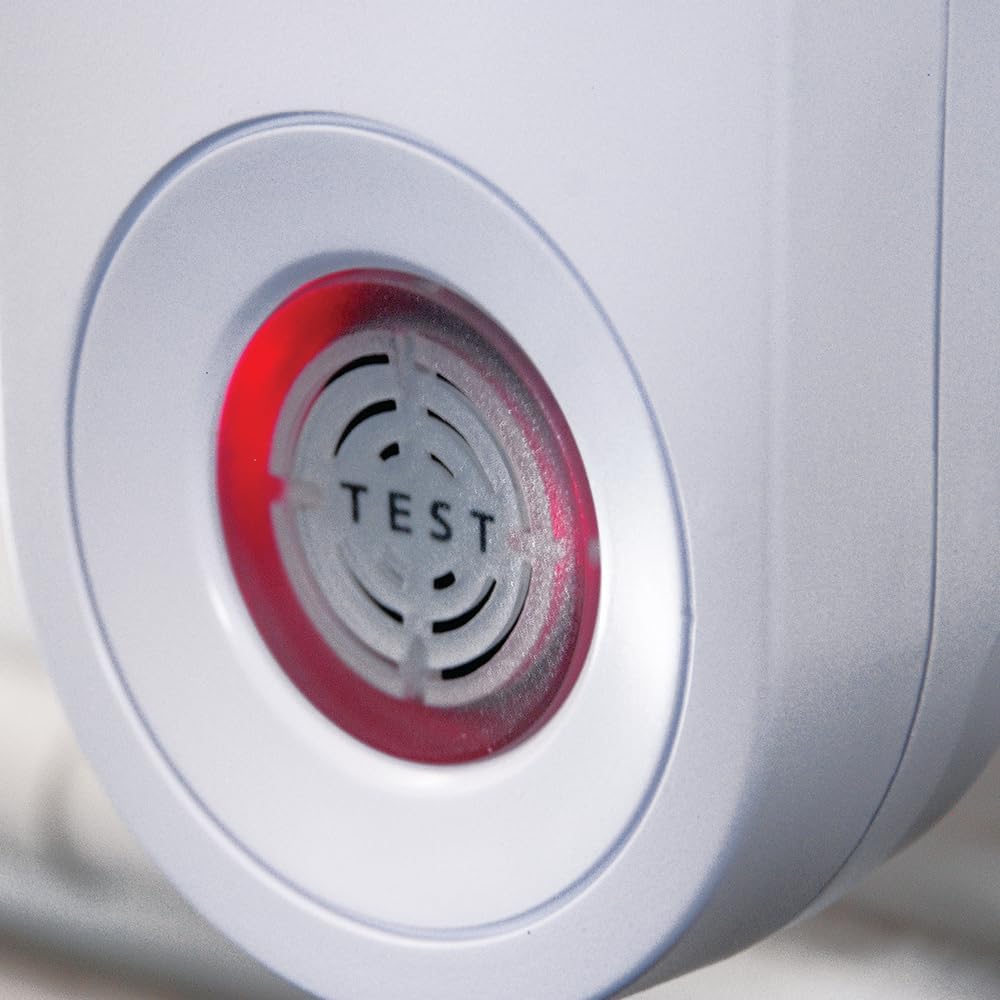 The Big Cheese Advanced Pest Repeller | Humane & Ultra-Sound | Rats & Mice (STV789)