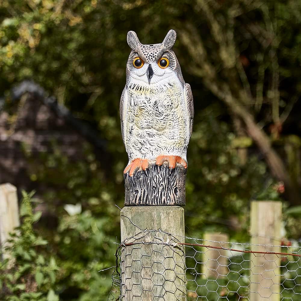 The Big Cheese Long Eared Owl Realistic Decoy Deterrent, Scares Birds From Gardens And Buildings