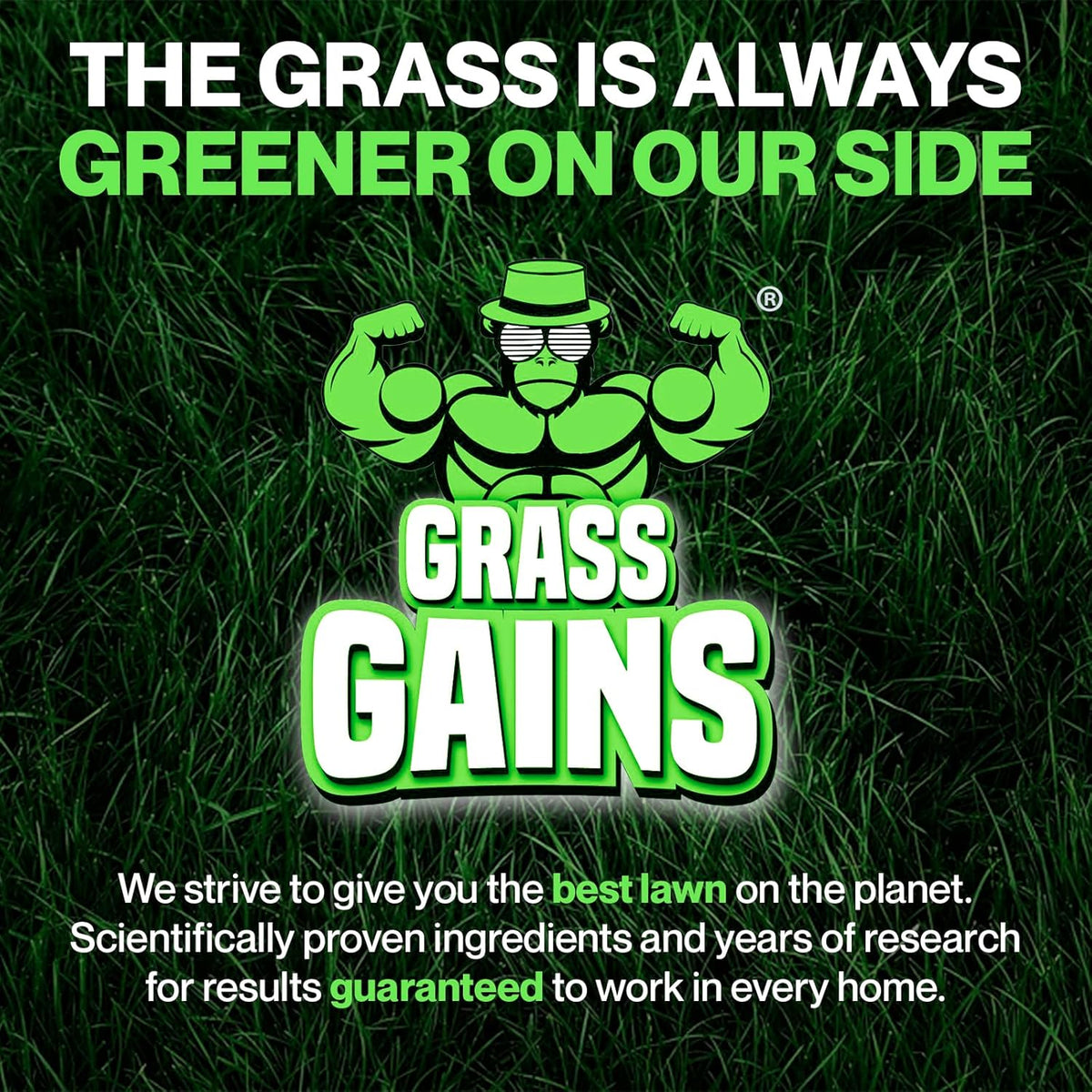 Lawn Bulk Black Edition 2.5kg