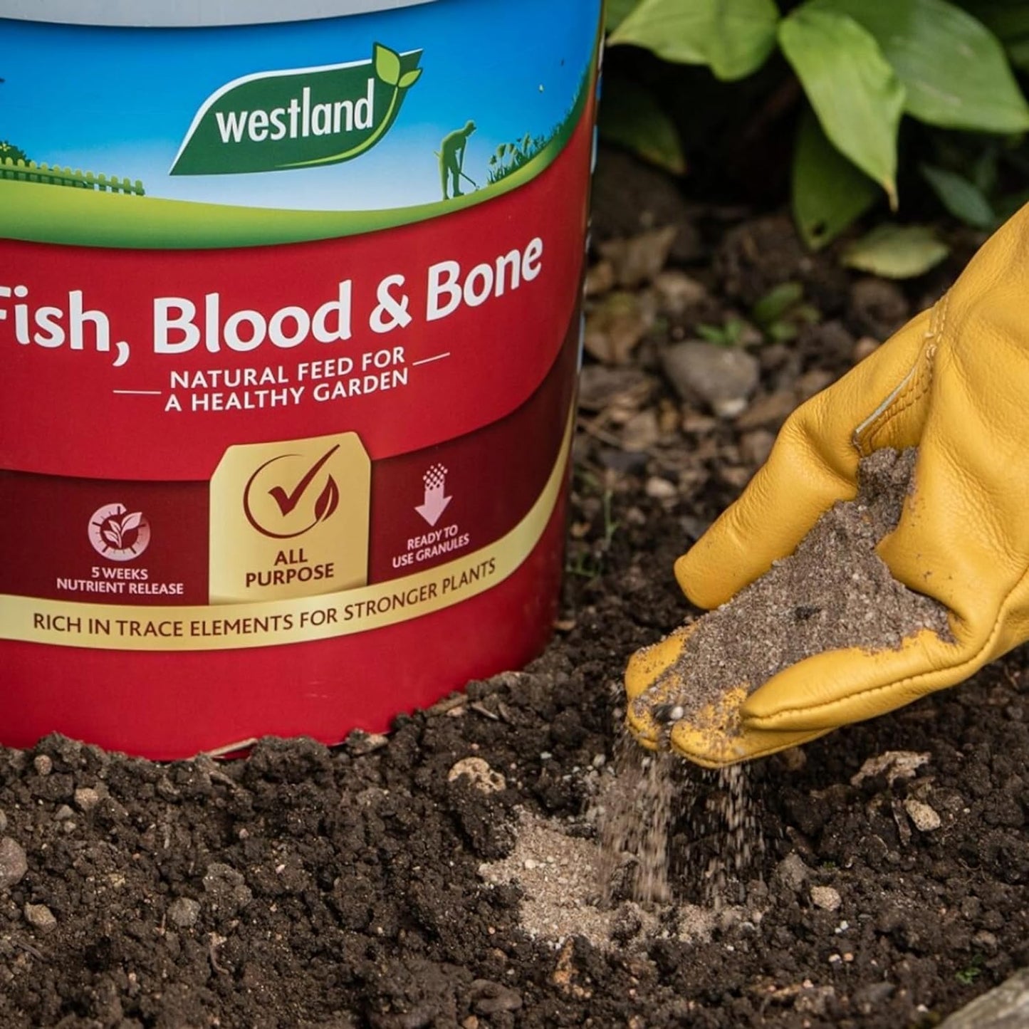 Westland Fish, Blood and Bone All Purpose Plant Food 8 kg