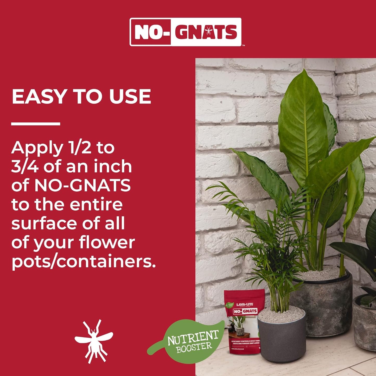 Lava-Lite No Gnats | Original Natural Fungus Gnat Killer for Houseplants, Soil & Compost | Child