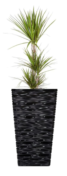 Fixtures Glaze Wave MEDIUM 42cm Planter {Black}