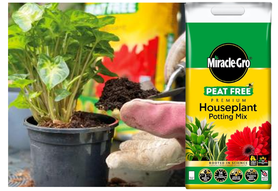 Miracle-Gro Premium Peat-Free Houseplant Potting Mix, 10L
