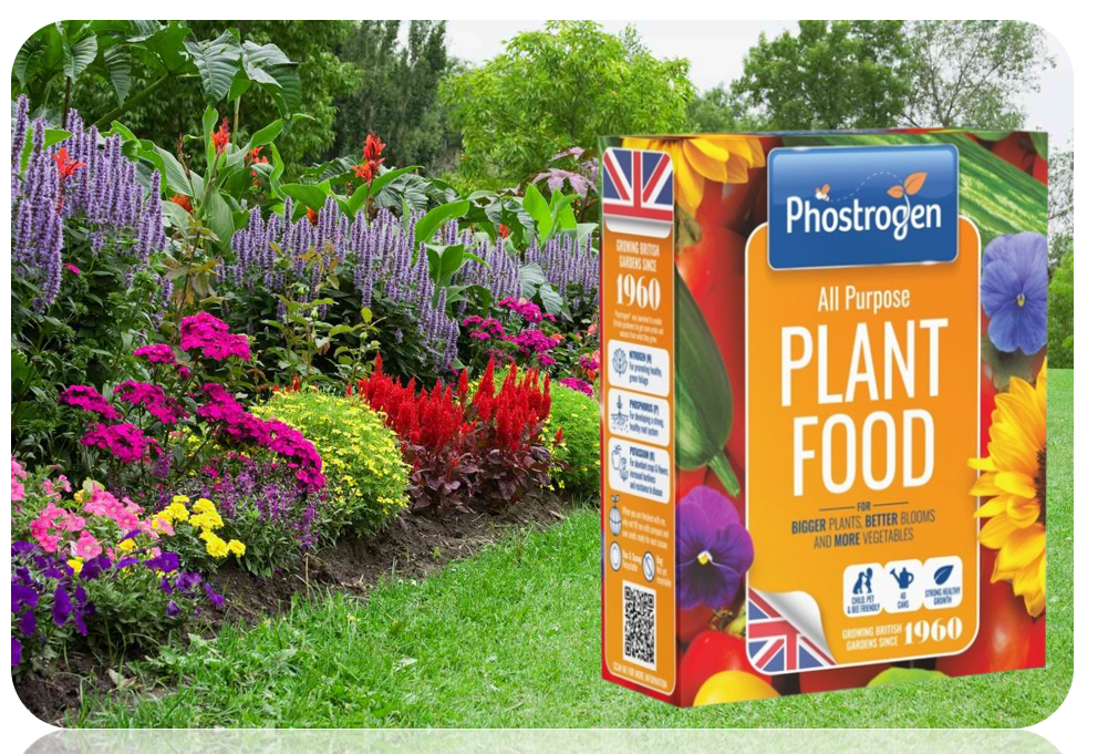 Phostrogen All Purpose Plant Food 800g = 80 can
