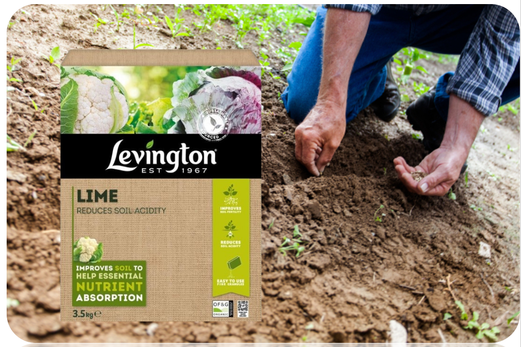 Levington Garden Lime 3.5kg Improve Soil Conditions Promote Healty Plant Growth