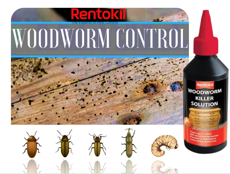 Rentokil Woodworm Insect Pest Protection Treatment Fluid 250ml