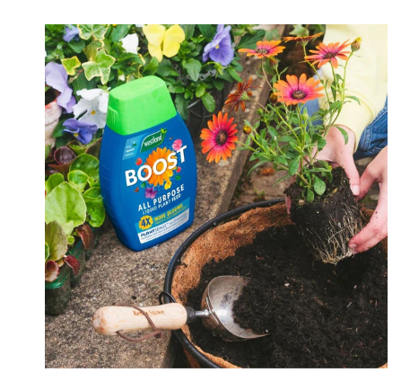 Westland Boost All Purpose Liquid Plant Food 2 x 1 Litre - UK BUSINESS SUPPLIES