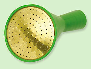 oval rose -coarse spray