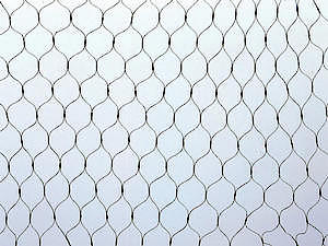 Apollo Gardening Ltd 52539 Garden Net 6M X 4M
