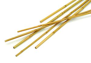 Bamboo Cane Pk10 5Ft 1.5M 76226