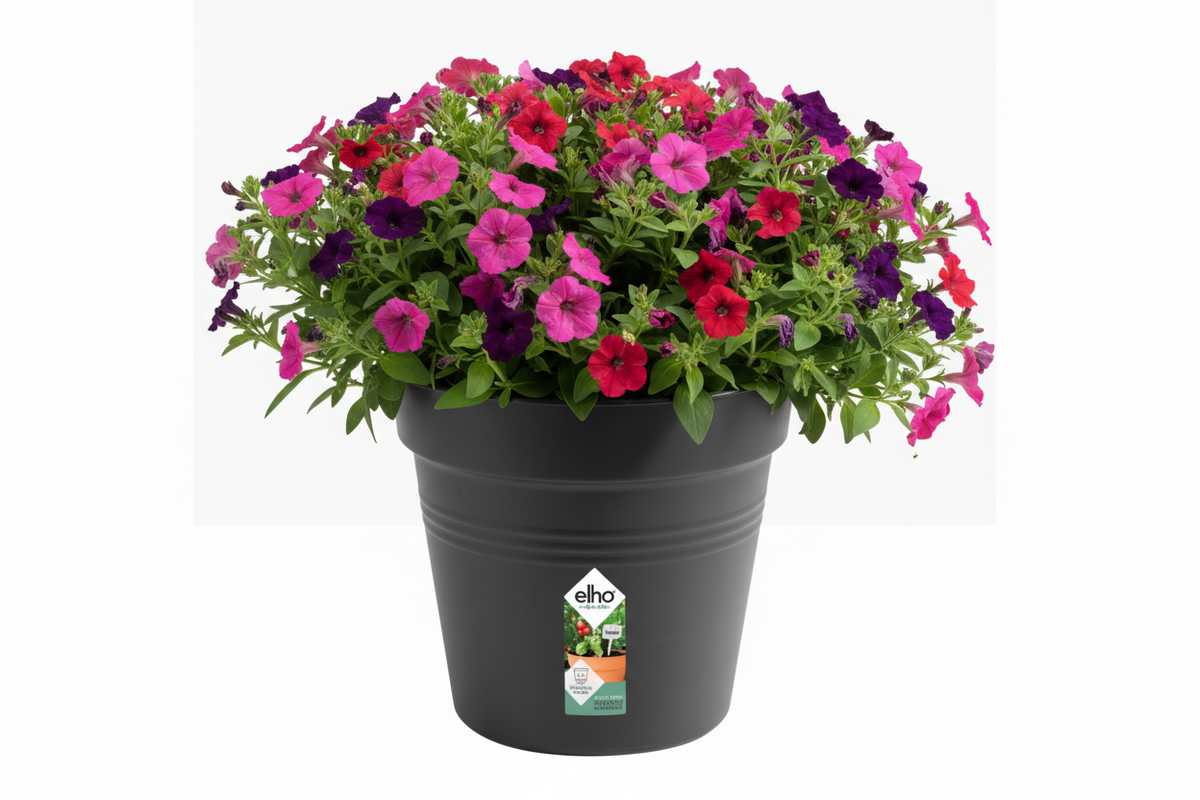 Elho Green Basics Grow Pot 13cm LIVING BLACK