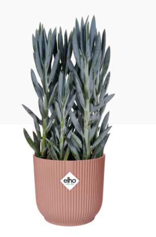 Elho Vibes Fold Display Pot 14cm DELICATE PINK