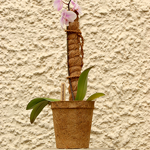 Moss Pole | Coir Grow Pole 140 Cm | Plant Support
