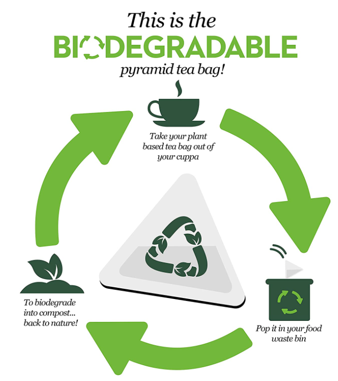 PG Tips String & Tagged Tea Bags 100s | 3 x 100's Bundle