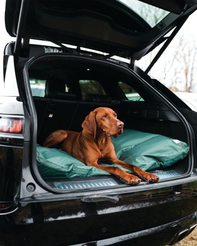 Danish Design County Deep Filled Duvet Style Pet/Dog Bed Medium Green CODL