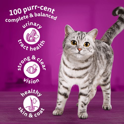 Whiskas 1+ Cat Complete Dry with Chicken 800g (Pack of 5) 481359