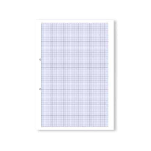Hamelin Loose Leaf Graph Paper 10mm 1000 Page Punched 2 Hole A4 (Pack of 5) 100104375