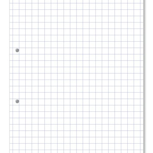 Hamelin Loose Leaf Paper 10mm Squared 1000 Page Punched 2 Hole A4 (Pack of 5) 100104180