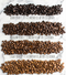 Belgravia Latino Blend, Rain-Forest Alliance Coffee Beans 1kg, 100% Arabica - ONE CLICK SUPPLIES