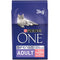 Purina ONE Adult Dry Cat Food Salmon & Wholegrain 3kg - ONE CLICK SUPPLIES