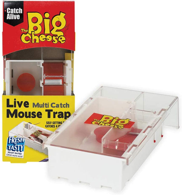 Big Cheese Multi-catch Baited Mouse Humane Trap {STV162} - ONE CLICK SUPPLIES
