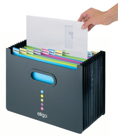 Snopake Eligo Desk Expander 13 Part Landscape Black 15174