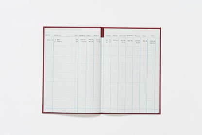 Guildhall Headliner Account Book Casebound 298x203mm 10 Cash Columns 80 Pages Red 38/10Z