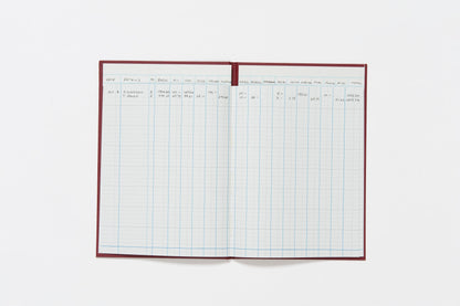 Guildhall Headliner Account Book Casebound 298x203mm 16 Cash Columns 80 Pages Red 38/16Z