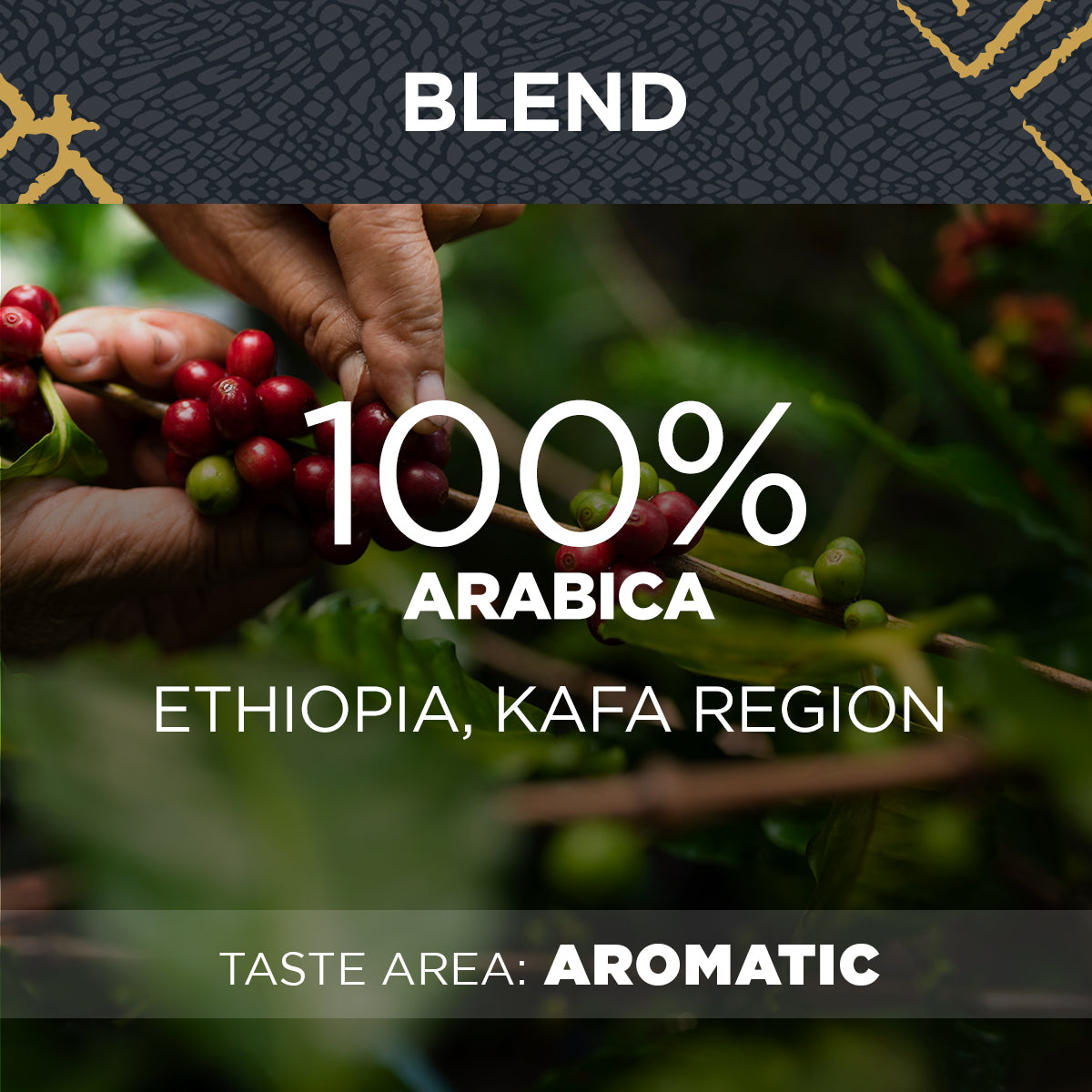 Lavazza Kafa Premium Coffee Beans 500g - UK BUSINESS SUPPLIES