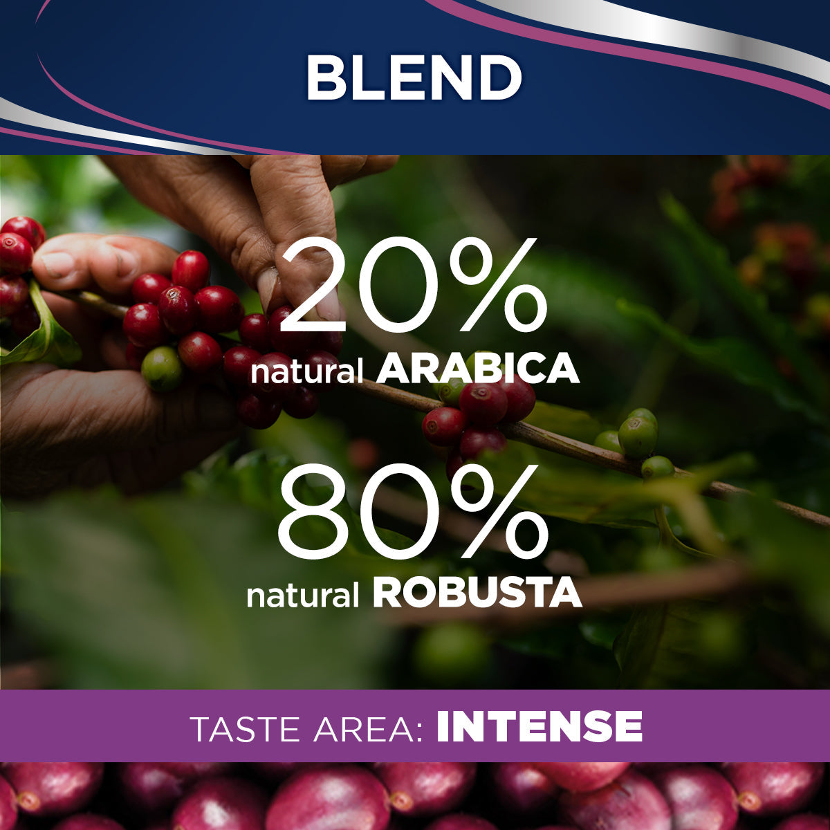 Lavazza Il Filtro Classico Filter Coffee 227g