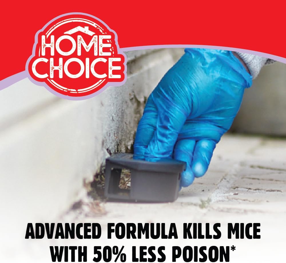 The Big Cheese Complete Mouse Killer Kit | Indoor Use
