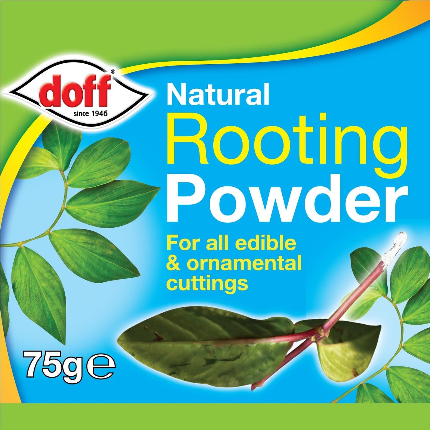 Doff Natural Rooting Powder 75g | 3 Pack Bundle