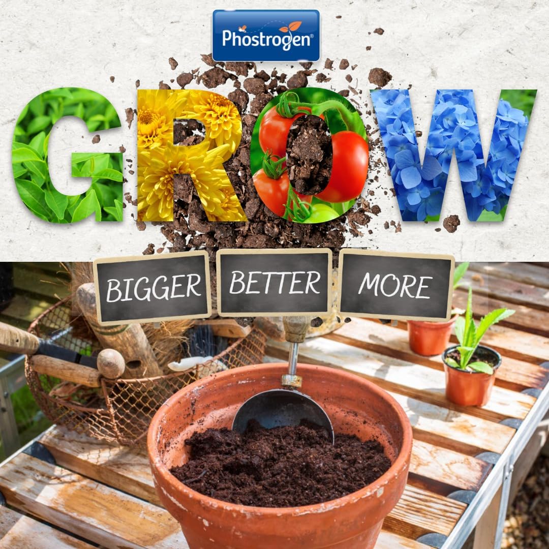 Phostrogen Ericaceous Plant Food, 800g
