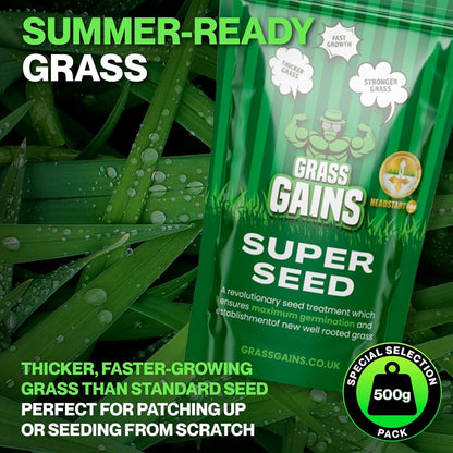 Lawn Seed 500g | Premium Grass Seeds Fast Growing for Patch Magic Lawn Repair | 1 x 500g
