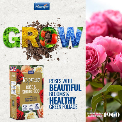 Phostrogen Toprose Rose Shrub & Feed Granules | FERTILIZER for Vibrant Roses 1kg