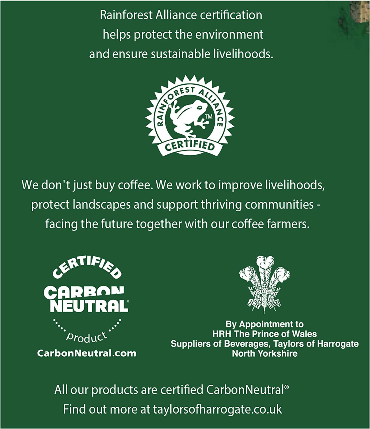 Taylors of Harrogate Rich Italian Coffee Bags Pack 30s