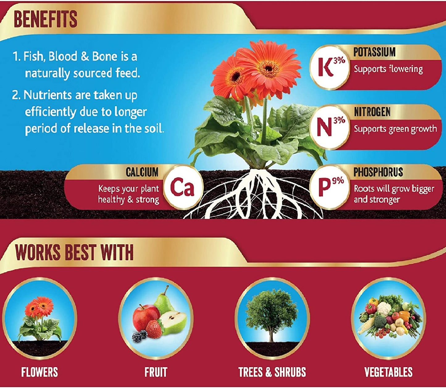 Westland Fish, Blood and Bone All Purpose Plant Food 8 kg