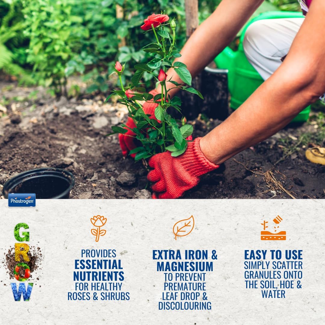 Phostrogen Toprose Rose Shrub & Feed Granules | FERTILIZER for Vibrant Roses 1kg