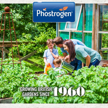 Phostrogen All Purpose Plant Food 800g = 80 can