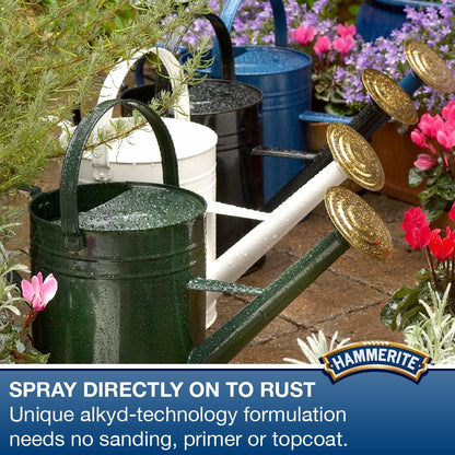 Hammerite Spray Paint for Metal | Direct to Rust Exterior Metal Paint | Smooth Finish | SILVER