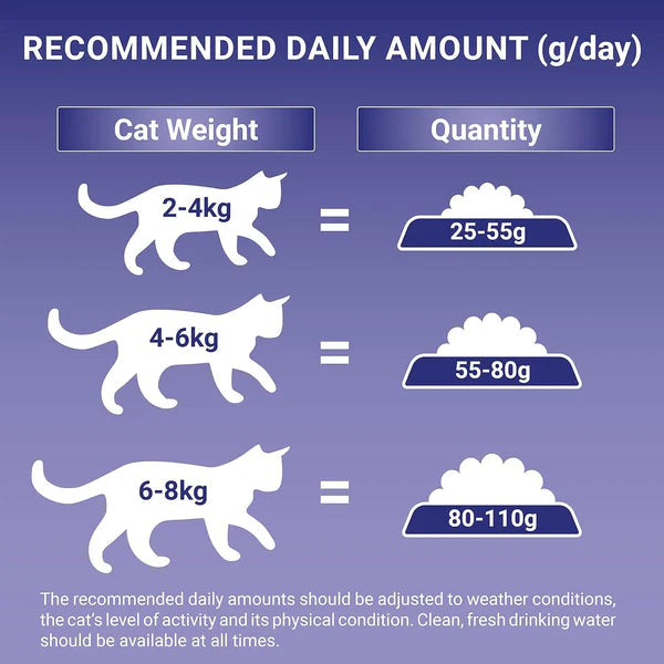 Purina ONE Indoor Dry Cat Food Turkey & Wholegrain 750g