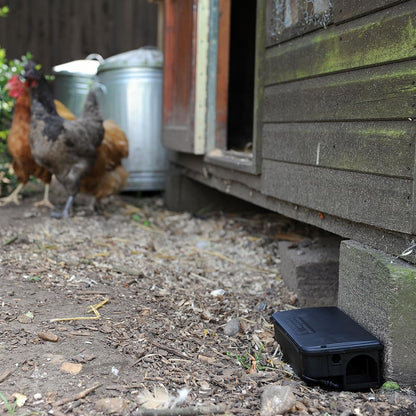 Big Cheese Rat & Mouse Bait Station (STV179) keep