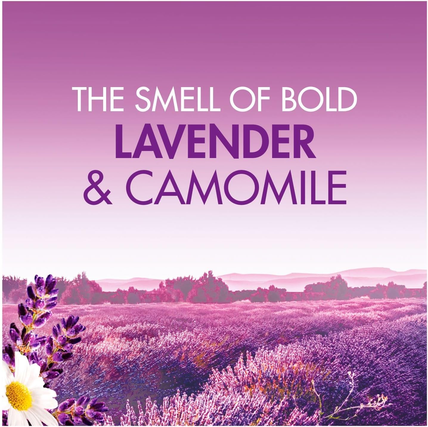 Bold Laundry Detergent Liquid Pod Lavender & Camomile 86's
