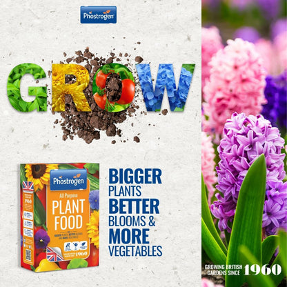 Phostrogen All Purpose Plant Food 800g = 80 can