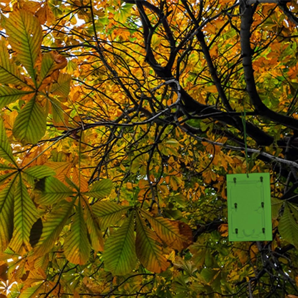 Defenders Horse Chestnut Leaf Miner Pheromone Trap - Twinpack, Refillable