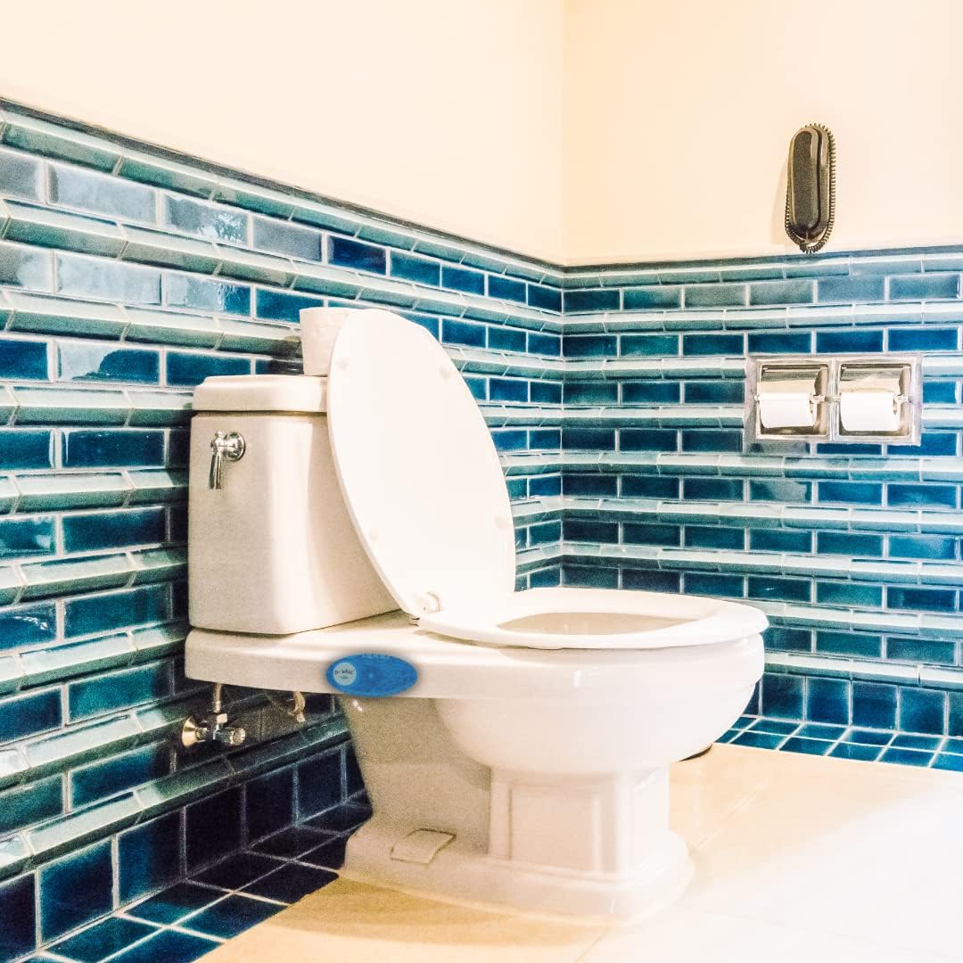 P-Wave P-Curve Air Freshener Clear Mango (Pack of 10) WZCV60MG