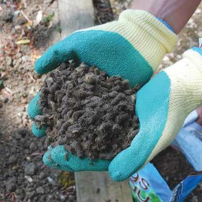 Defenders All-Natural Slugs Away Wool Pellets | Slugs and Snails | 5 Litre