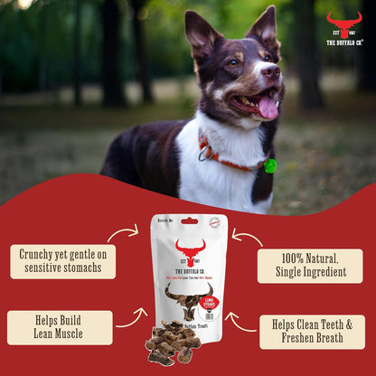 The Buffalo Co. Buffalo Lung Steaks for Dogs | 100% Natural | Dog treats |  1 x 100g