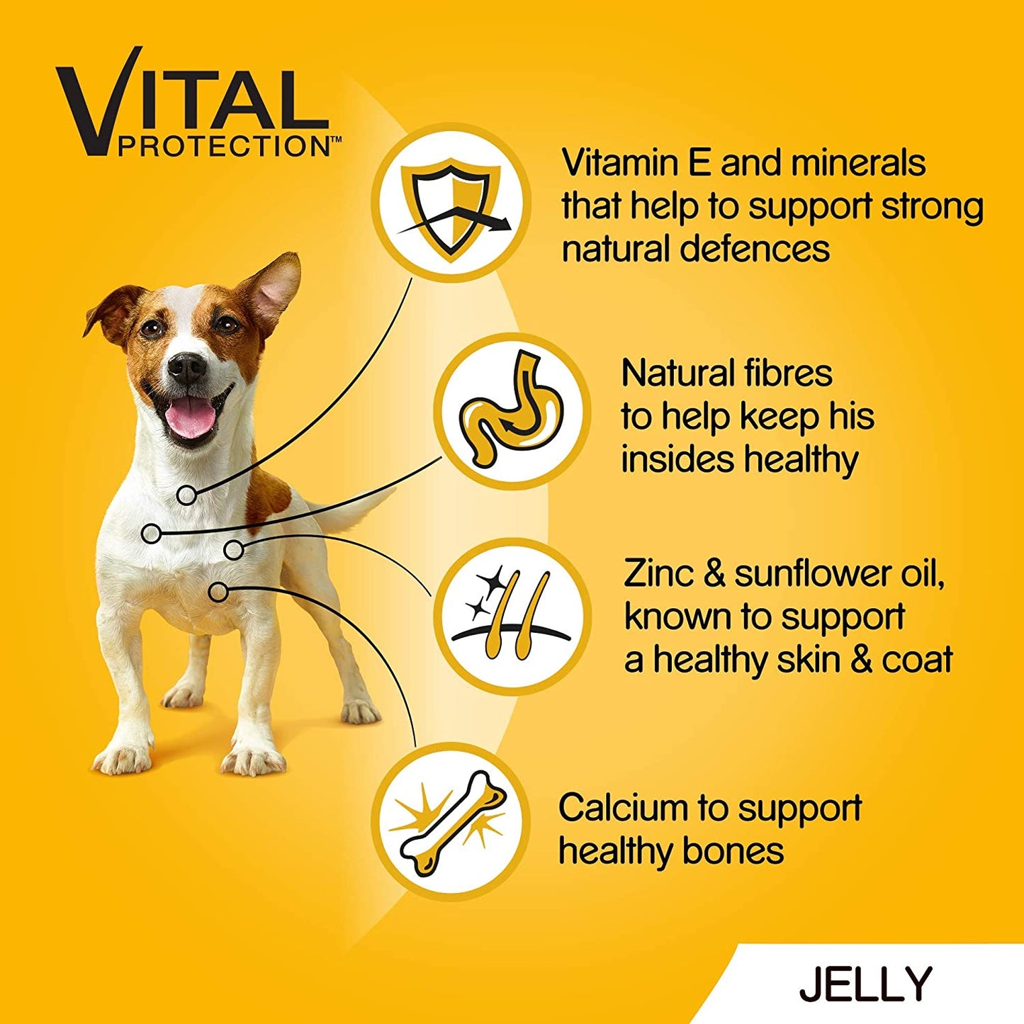 Pedigree Adult Dog Food Pouches Mixed Selection in Jelly 12 x 100g